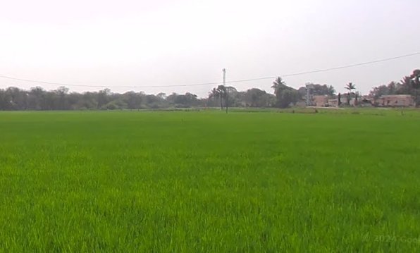 An image of land