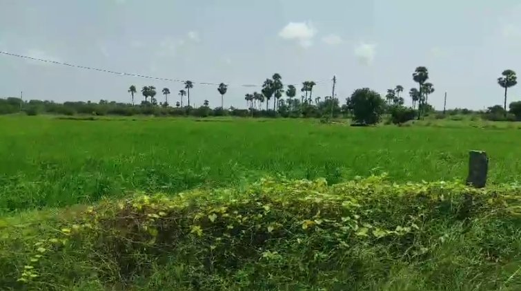 An image of land