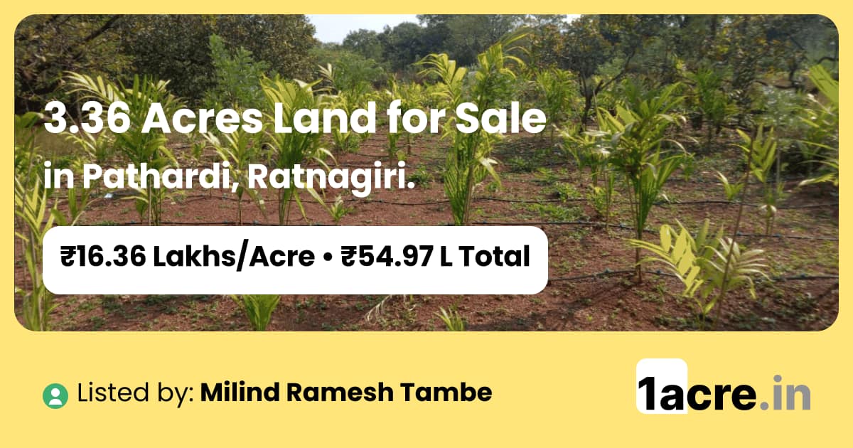 3 Acres 14 Guntas Land for Sale in Pathardi, Ratnagiri | 1acre.in