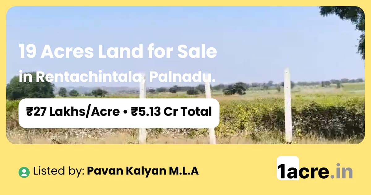 19 Acres Land for Sale in Rentachintala, Palnadu | 1acre.in
