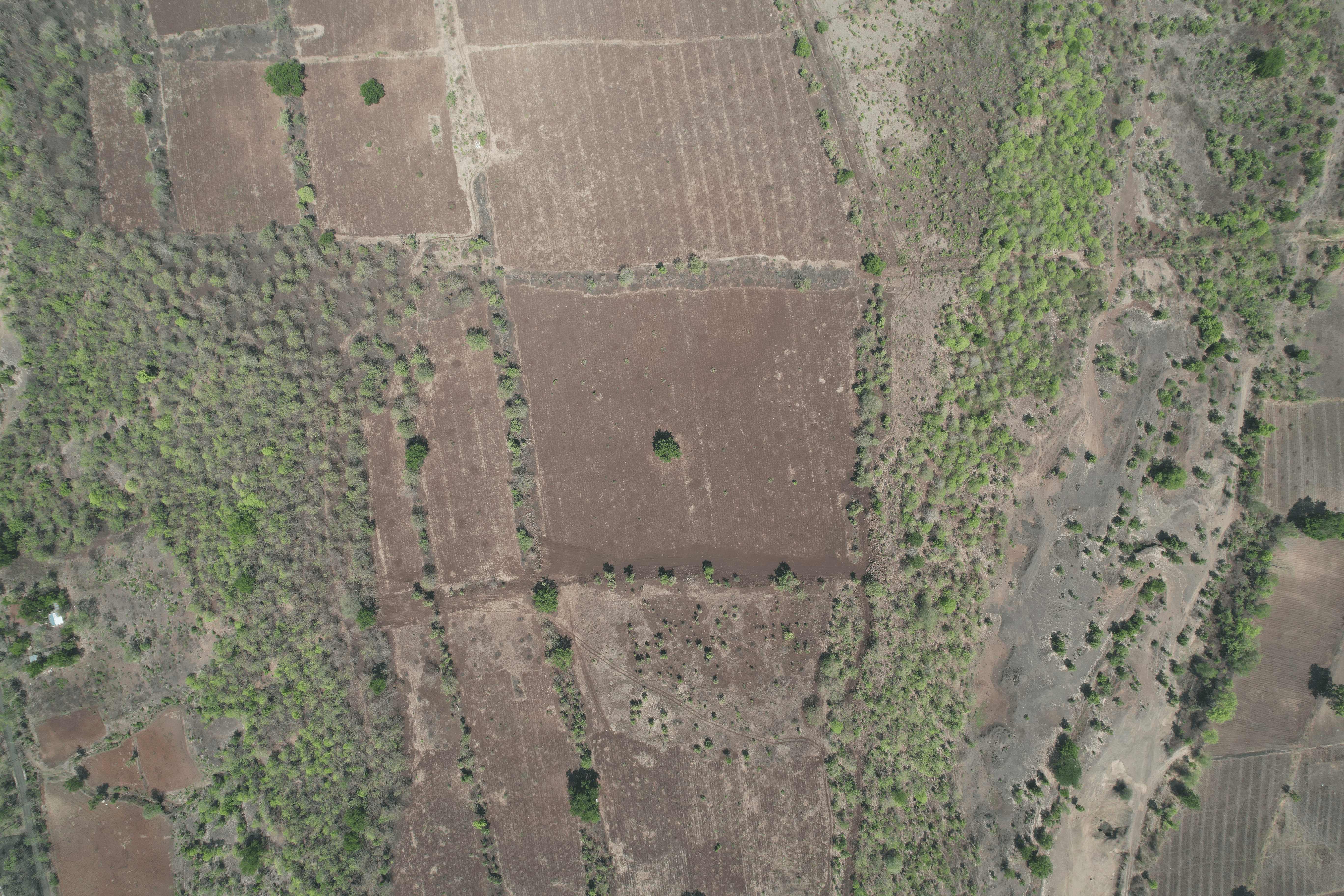 Image of 14 property