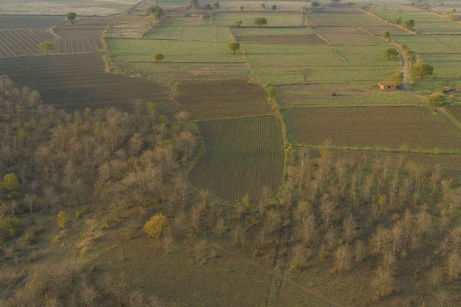 Image of 23 property